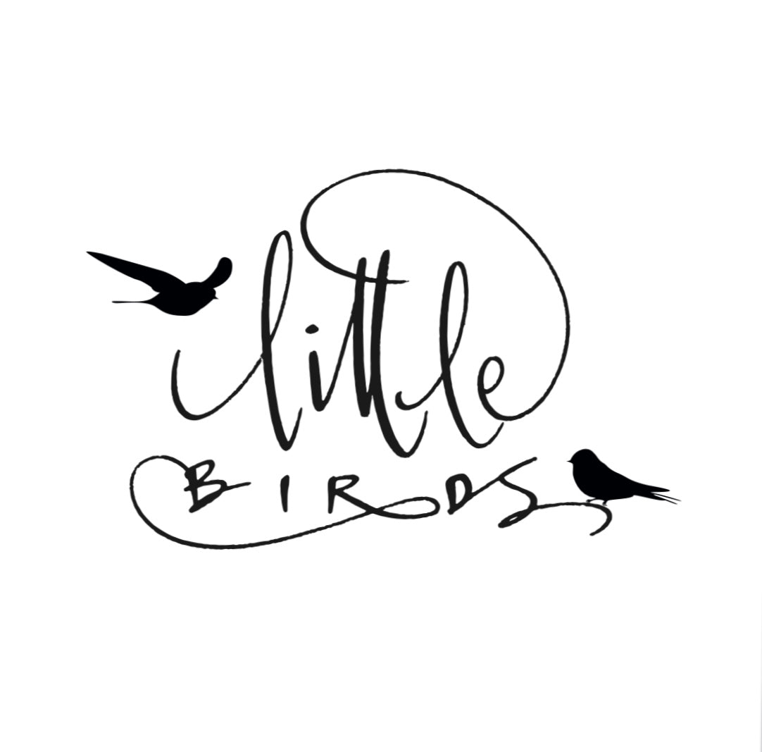 Little Birds Boston 